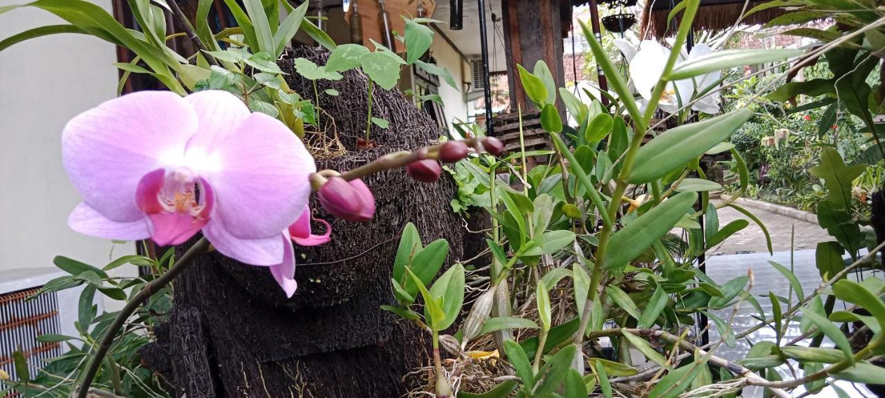 Coliving Bali Sweet Home Kost Lengkap Di Tabanan Kota المظهر الخارجي الصورة