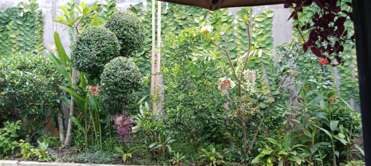 Coliving Bali Sweet Home Kost Lengkap Di Tabanan Kota المظهر الخارجي الصورة
