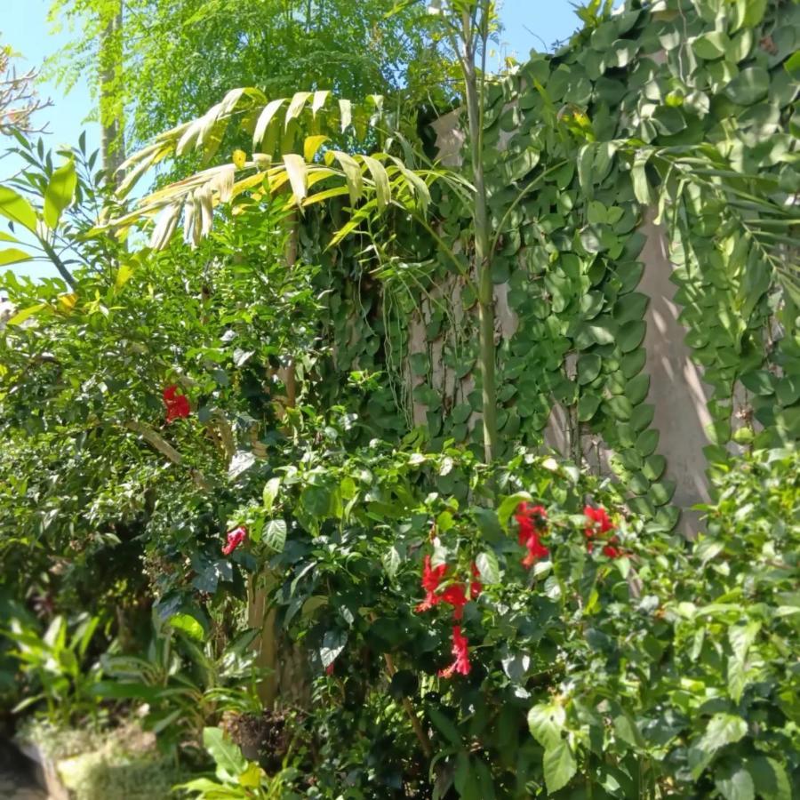 Coliving Bali Sweet Home Kost Lengkap Di Tabanan Kota المظهر الخارجي الصورة