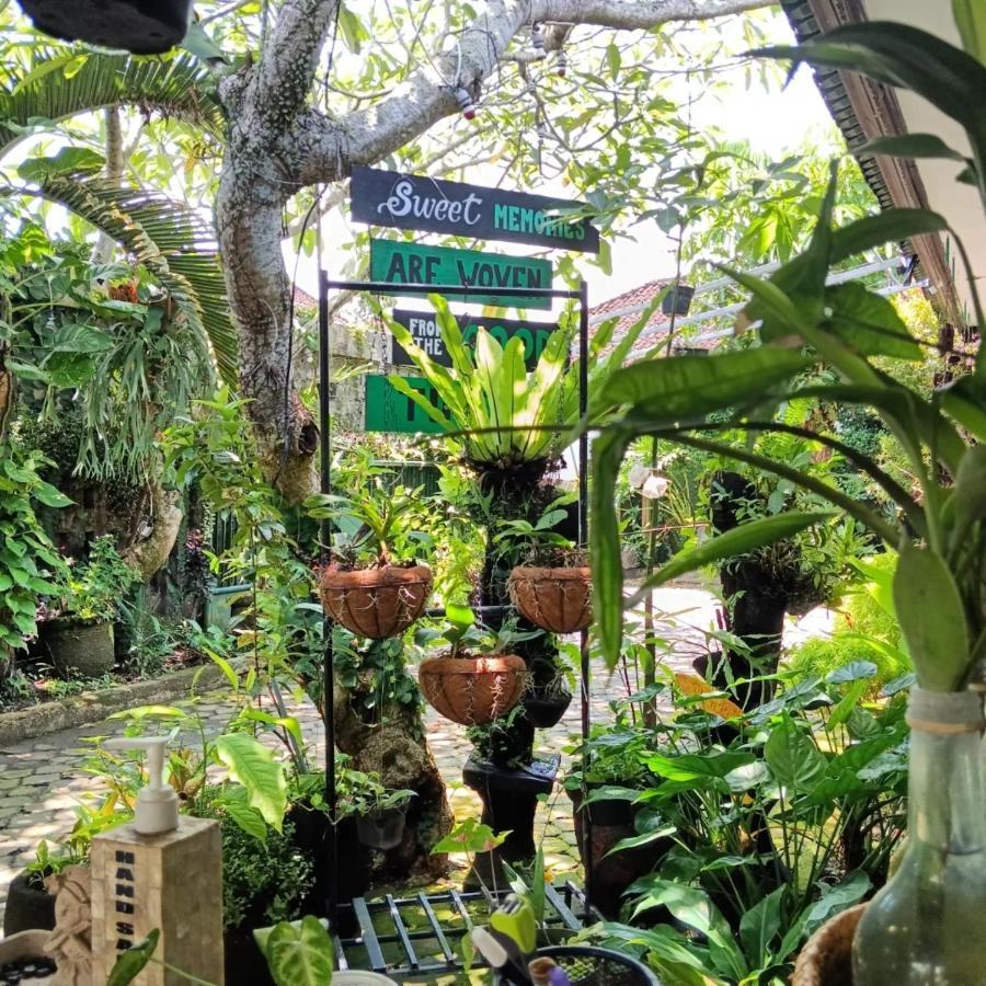 Coliving Bali Sweet Home Kost Lengkap Di Tabanan Kota المظهر الخارجي الصورة