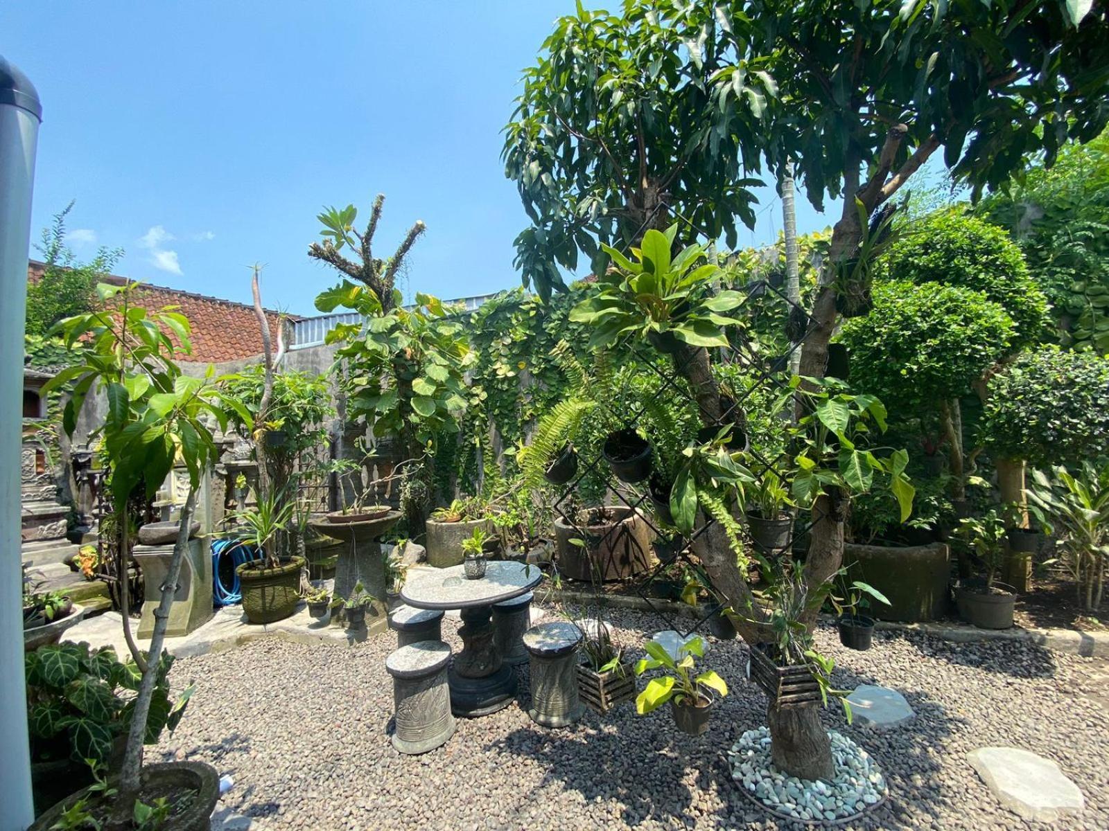 Coliving Bali Sweet Home Kost Lengkap Di Tabanan Kota المظهر الخارجي الصورة