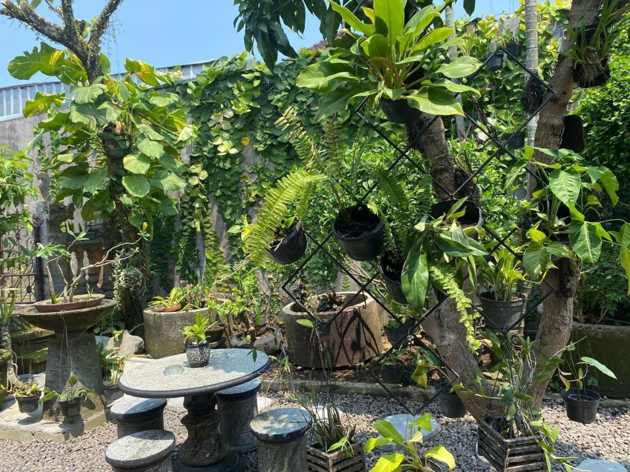 Coliving Bali Sweet Home Kost Lengkap Di Tabanan Kota المظهر الخارجي الصورة