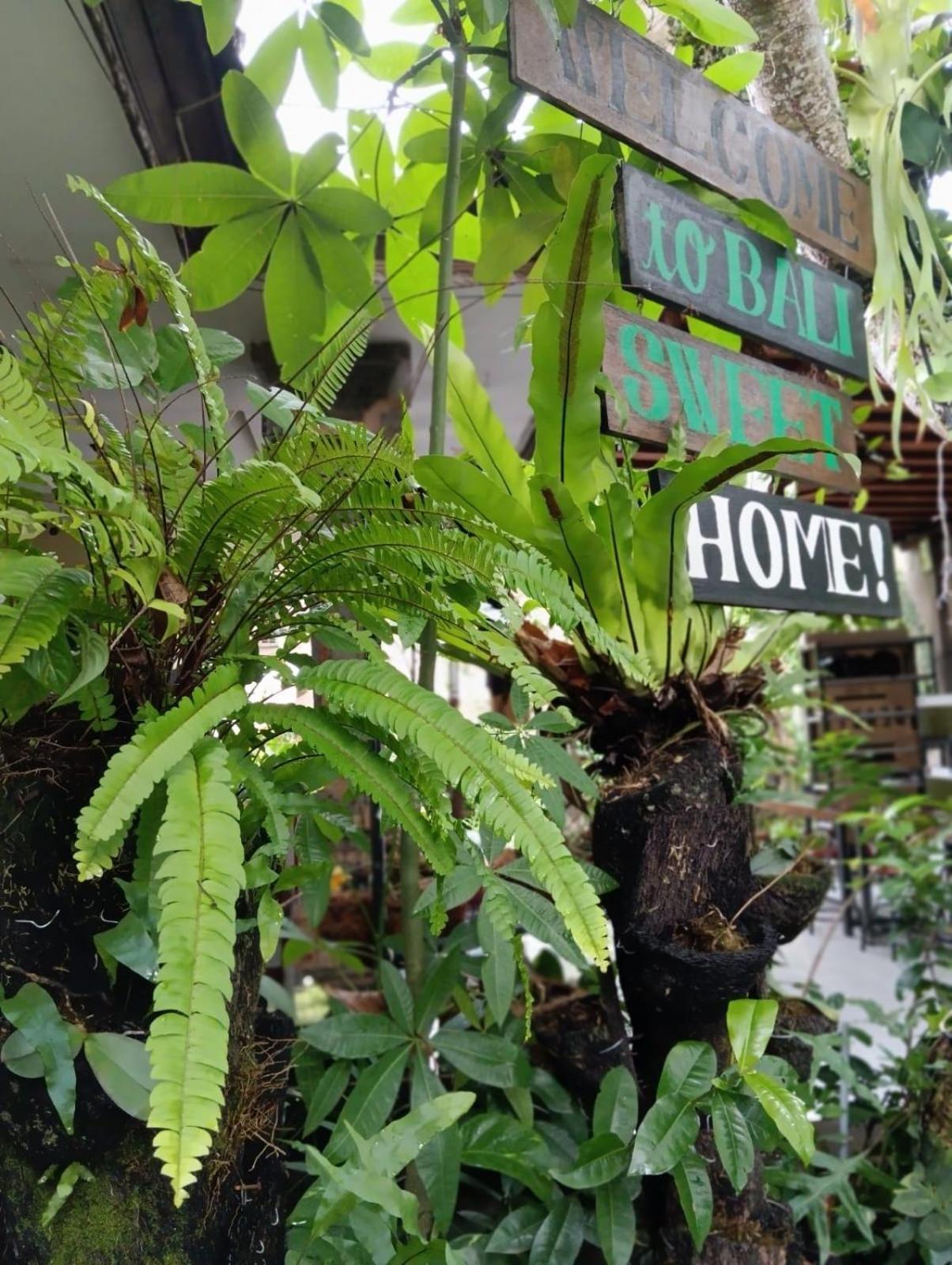 Coliving Bali Sweet Home Kost Lengkap Di Tabanan Kota المظهر الخارجي الصورة